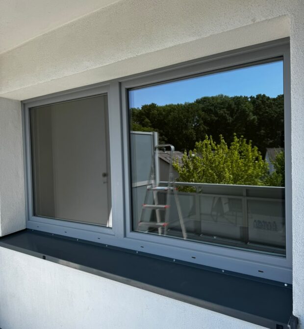 Fensterreinigung