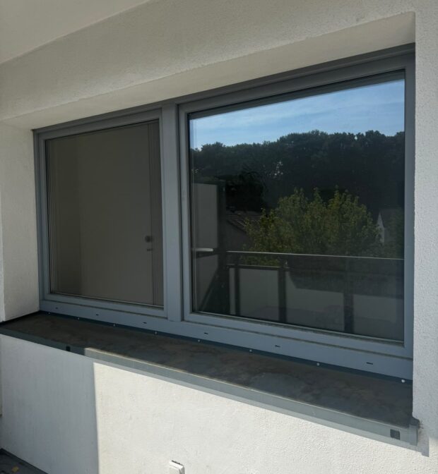 Fensterreinigung